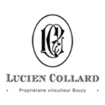 Lucien-Collard-l'uva-da-bere